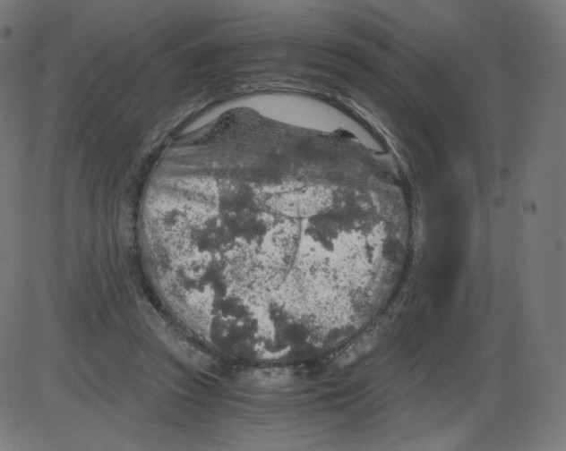 X0000084030353200703161811