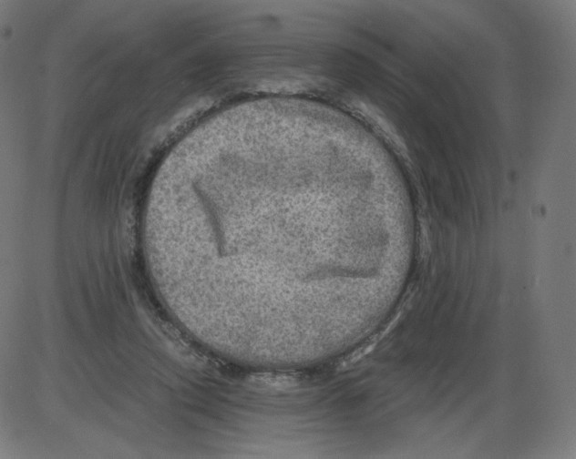 X0000084030354200703161811