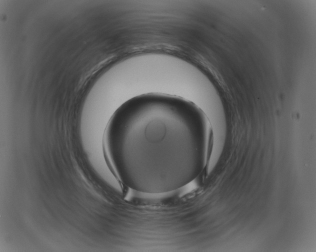 X0000084030356200703161811