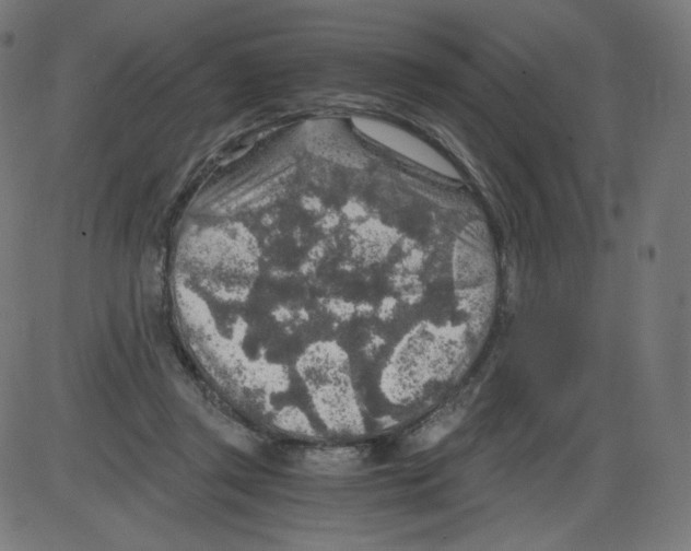 X0000084030357200703161811