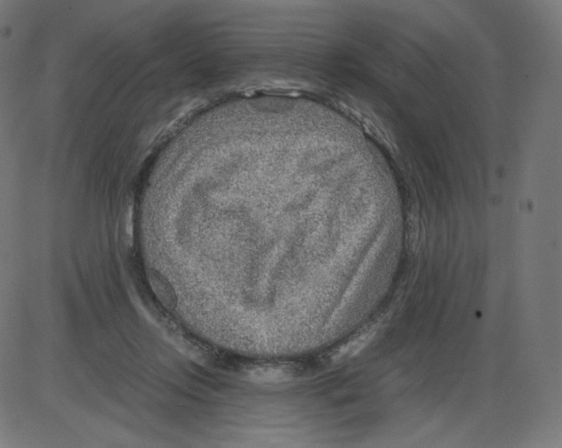 X0000084030358200703161811