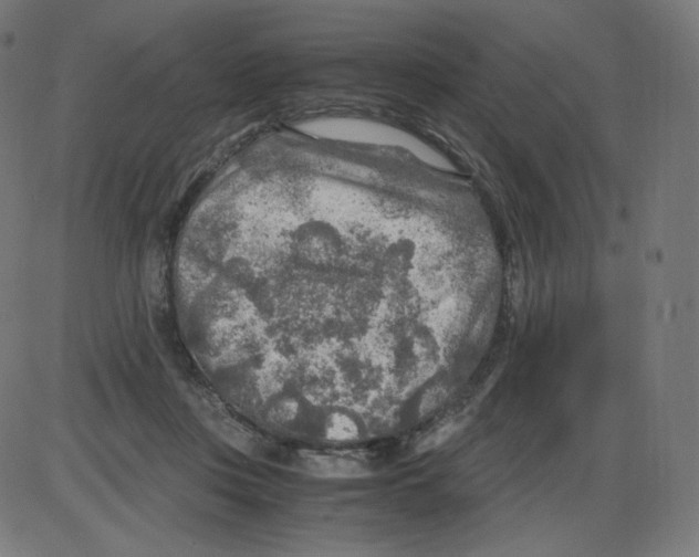 X0000084030359200703161811