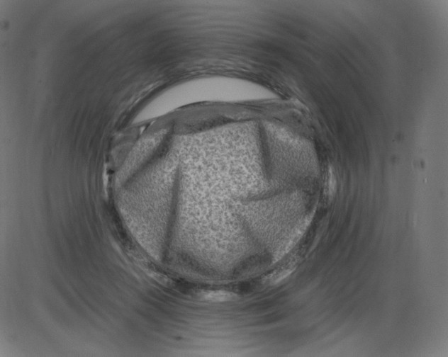 X0000084030360200703161812