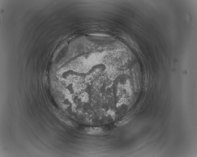 X0000084030361200703161812