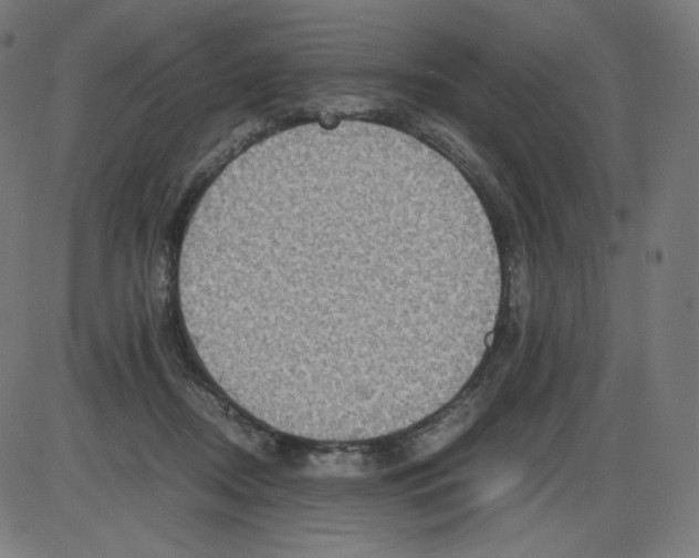 X0000084030362200703161812