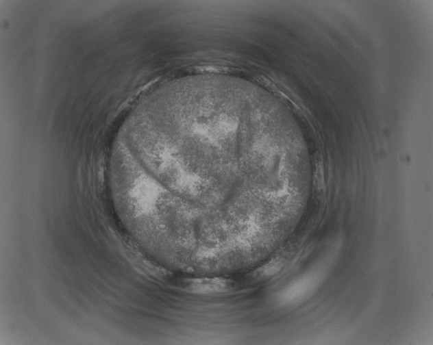 X0000084030363200703161812