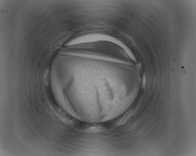 X0000084030364200703161812