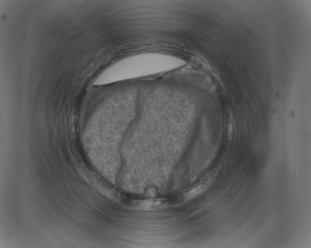 X0000084030366200703161812