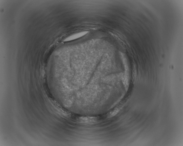 X0000084030367200703161812