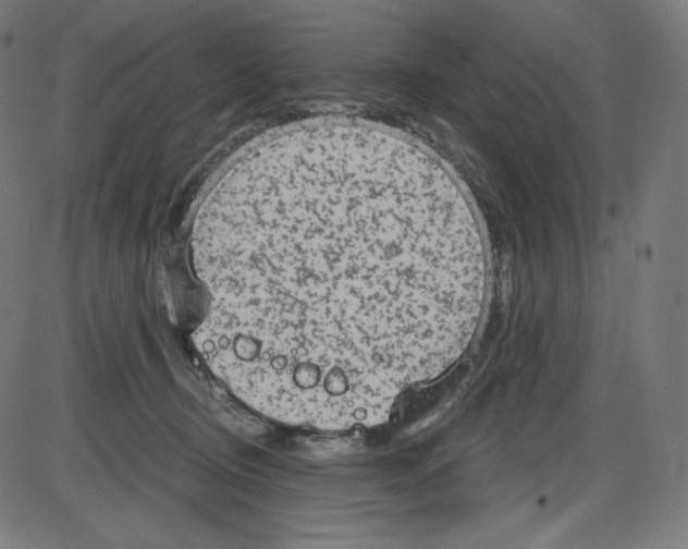 X0000084030370200703161812