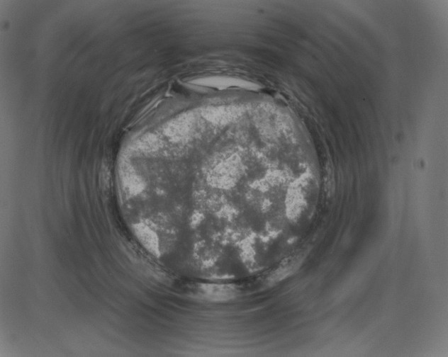 X0000084030371200703161812