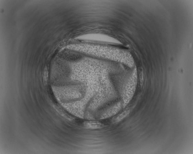 X0000084030372200703161812