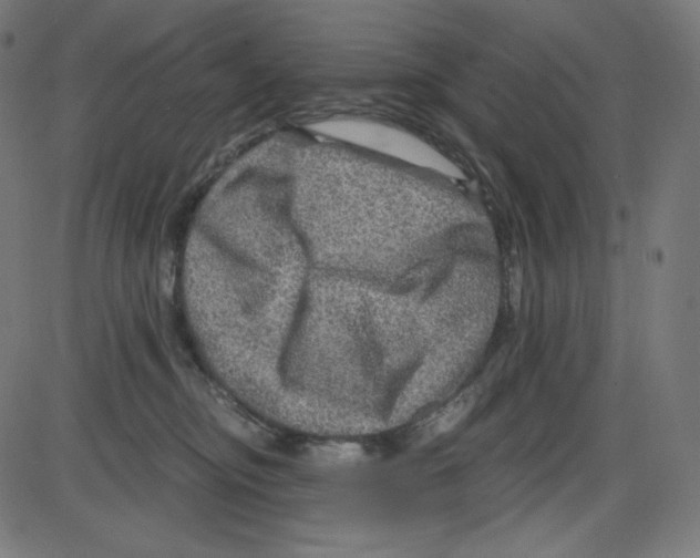 X0000084030374200703161812