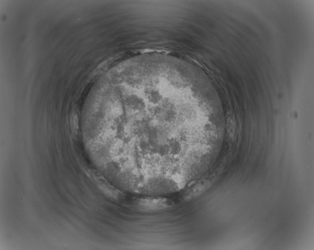 X0000084030375200703161812