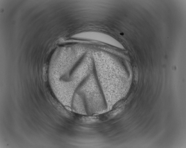 X0000084030378200703161812