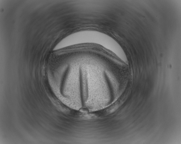 X0000084030379200703161812