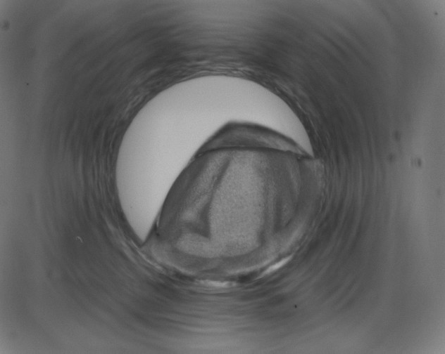 X0000084030380200703161812