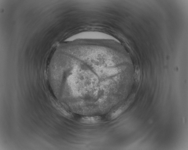 X0000084030381200703161812