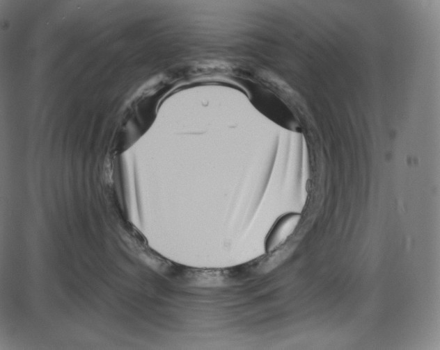 X0000084030384200703161812