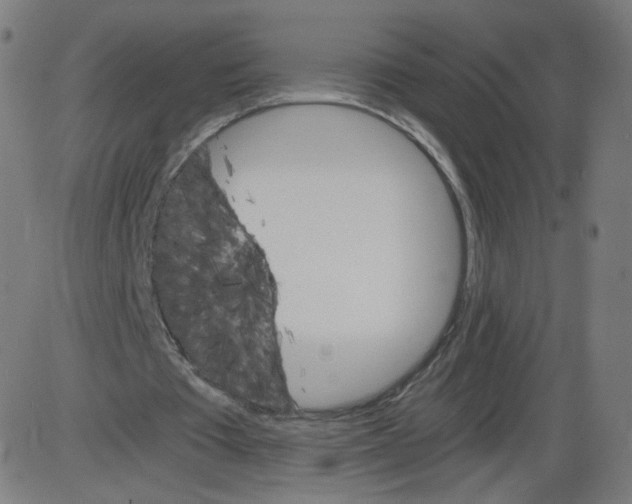 X0000084030385200703161811