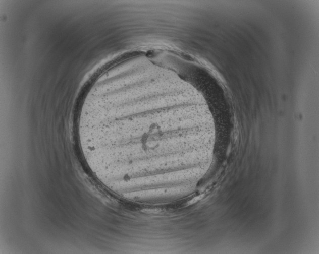 X0000084030391200703161811