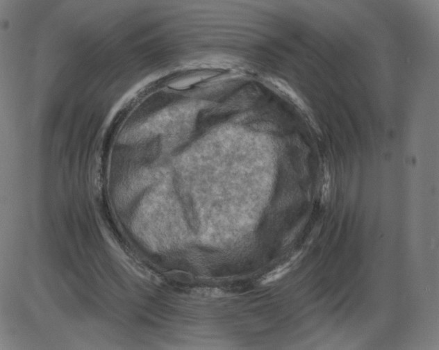 X0000084030392200703161811