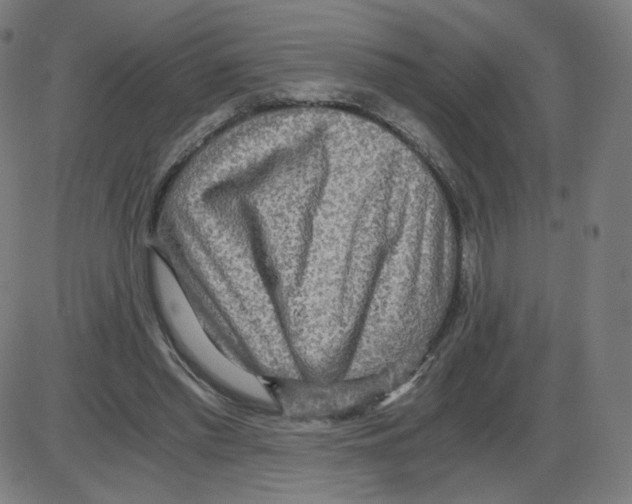 X0000084030397200703161811