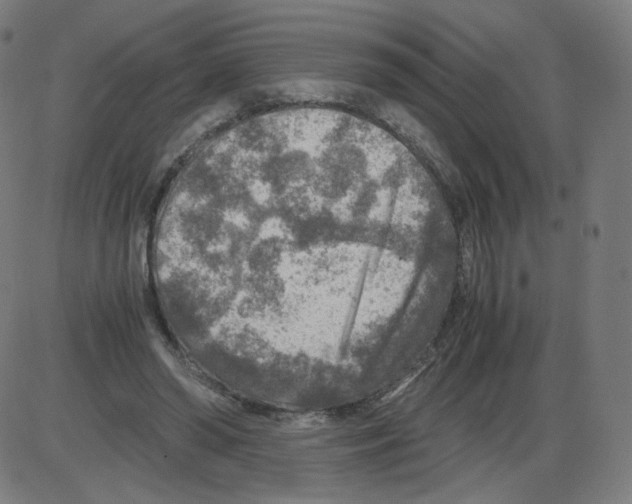 X0000084030398200703161811