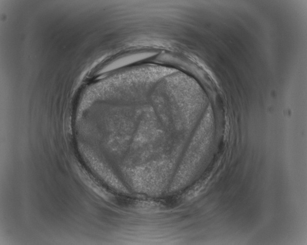 X0000084030399200703161811