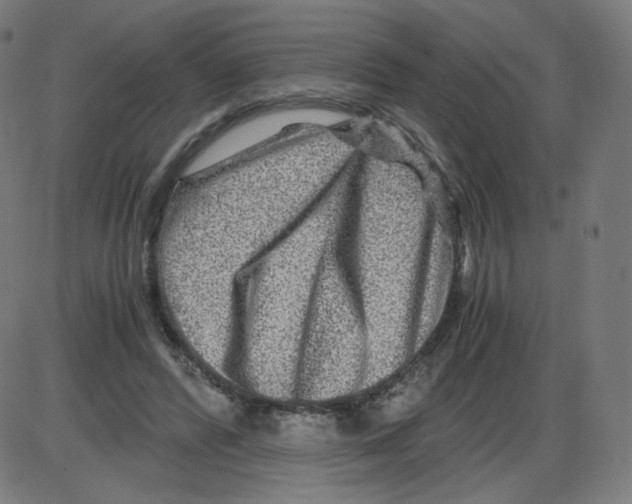 X0000084030400200703161811