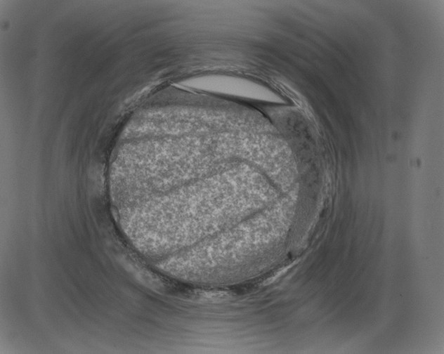 X0000084030401200703161811