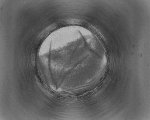 X0000084030402200703161811