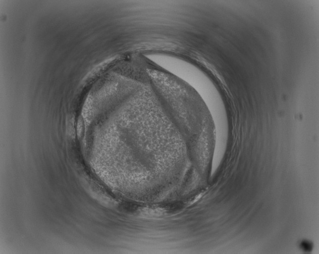 X0000084030403200703161811