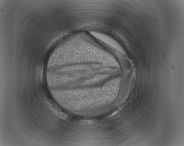 X0000084030404200703161811