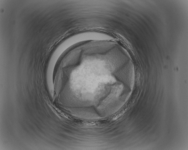 X0000084030405200703161811