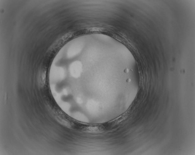 X0000084030406200703161811