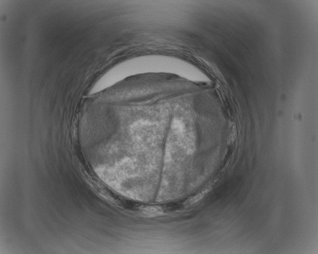 X0000084030409200703161811