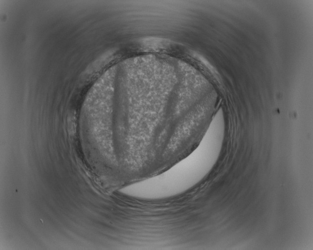 X0000084030413200703161811