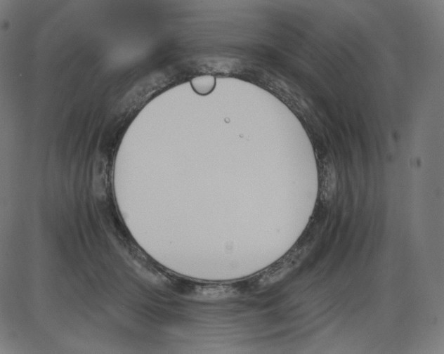 X0000084030414200703161811