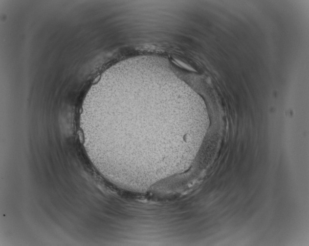 X0000084030416200703161811