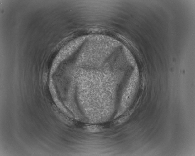 X0000084030417200703161811