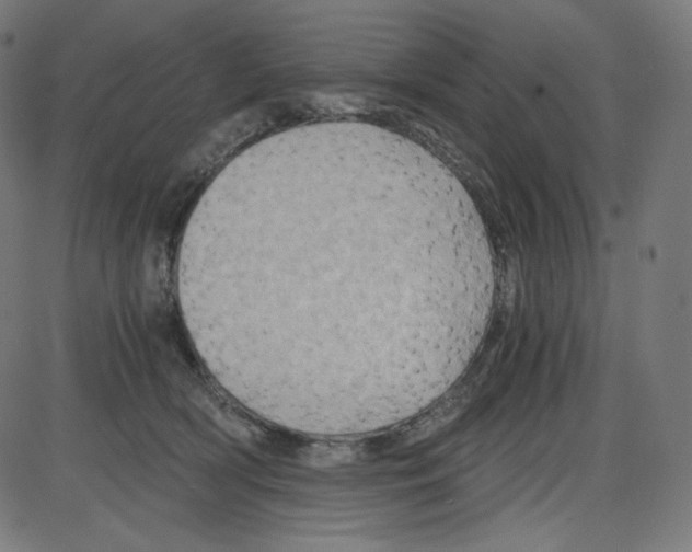 X0000084030418200703161811