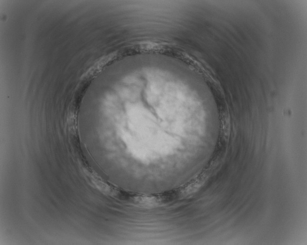 X0000084030419200703161811