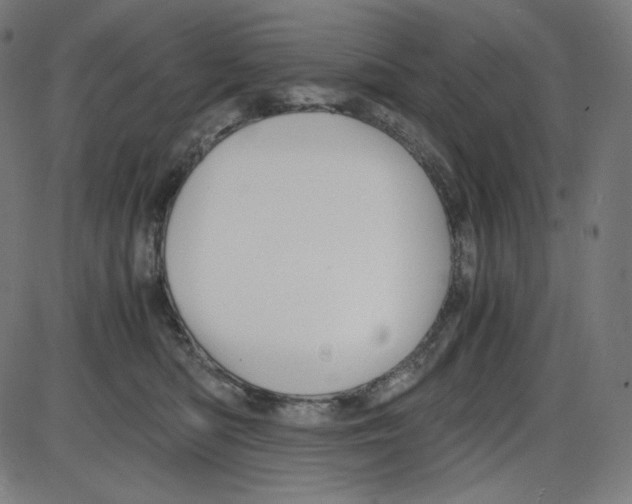 X0000084030422200703161810