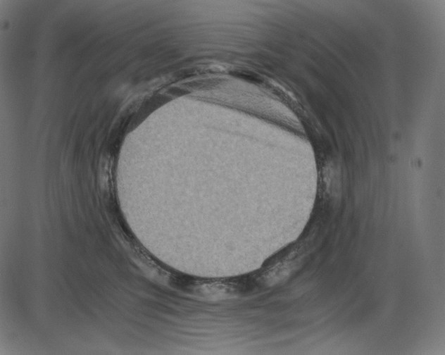 X0000084030423200703161810