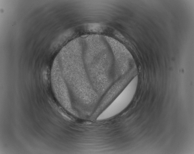 X0000084030424200703161810