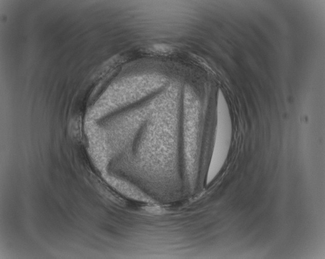 X0000084030425200703161810