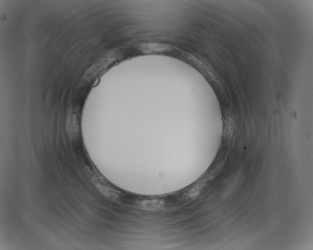 X0000084030426200703161810