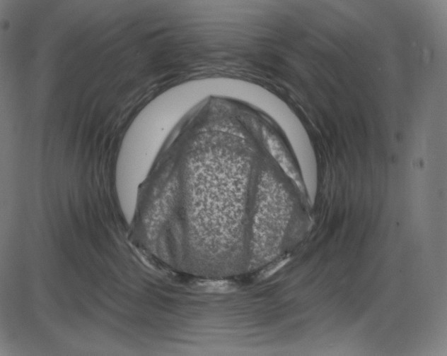 X0000084030428200703161810