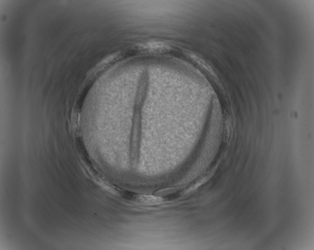 X0000084030429200703161810